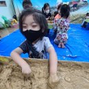 유정유치원 이미지