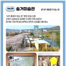 인피니티 플라잉 다온공연 | 기대 없이 갔다가 감탄하고 온 경주 엑스포대공원 아이랑 가볼만한곳 추천 후기
