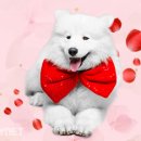 귀족동물병원 이미지