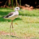 백세정민박 이미지