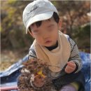 아이세상어린이집 | 김천 다솜어린이집에서 신음동어린이집과의 특별한 순간 미리보기