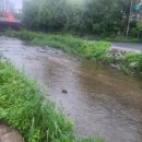 성복1로54번길 이미지