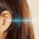 선운독일보청기 이미지