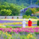 유화그리기 이미지