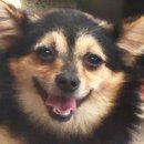 진웅주유소 이미지