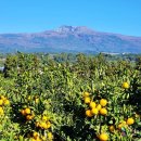 한라산농장 이미지