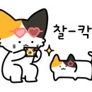 귀뚜라미보일러금정중앙대리점