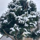 운계3리 경로당 이미지