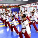 예건태권도 이미지