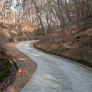 법흥사징효국사부도 이미지