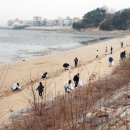골든코스트 경기인터넷신문