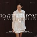 29 이미지