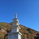 11/3/7/서면역 ㆍ단양황석산 ㆍ대흥사 ㆍ처녀치마외(22명의산우 안산하고) 이미지