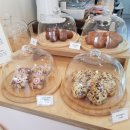 꼬소한지수네 이미지