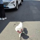 울산 남구 옥동 행정복지센터 이미지