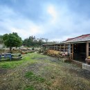 제주도예촌 이미지