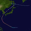 국내주요사건(1950~) 2. 1959-9-18 사라호태풍 이미지