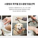 조례초등학교 이미지