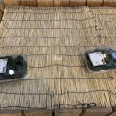 하가누리 이미지