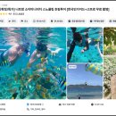 나트랑 미니비치 투어 찐 스노쿨링 호핑 혼문섬 후기