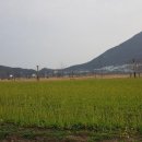 황산공원 축구장 이미지