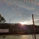 로고스교회 이미지