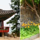 겸재정선미술관 티스토리