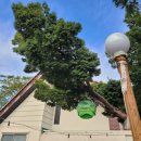 하례생태민박 이미지