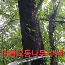 그림의떡 - 세종특별자치시 장기초교길 10 | 그림의떡