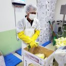 영농법인조합 농부의꿈 이미지
