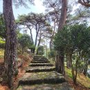 호계천변 이미지