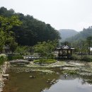 홍천 수타사 농촌테마공원& 공작산 생태숲 이미지