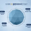 클렌피부과의원 네이버블로그