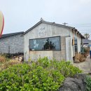 제주 구좌 세화해변 카페 한라산 후기｜바다 보며 쉬기 좋은 감성 카페