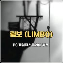 거미PC | 림보 PC 게임패스 플레이 추천 퍼즐게임과 공포게임의 시너지