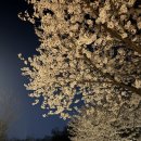 뮤직이너스 코인노래연습장 양재점 이미지