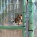 애니멀케어 이미지