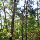 석칠마을 이미지