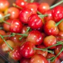 별이&체리 이미지