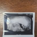 반도산전(주) 이미지