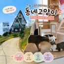 청주 가볼만한 곳 추천, 오창 고양이카페 동네고양이 후기