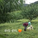 단 샘