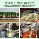 새싹 인삼 절편 50% 맛보기이벤트 이미지