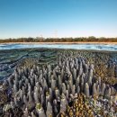 (주)아미랜드 이미지