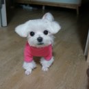 씬시얼리