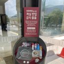 단양 가족 여행 단양 소노벨 리조트에서 방배정, 오션플레이, 조식까지