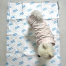 3957 | 흡수력 좋은 강아지 패드 찾는다면 [쉬즈곤]울트라패드✌🏻