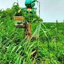 봉성공인중개사사무소 이미지