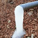 현천농장 이미지