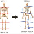 리바디 운동센터 이미지